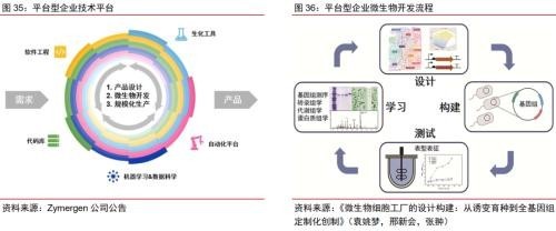 合成生物乘勢而起 顛覆傳統引領未來，軟件開發助力行業龍頭迎戴維斯雙擊